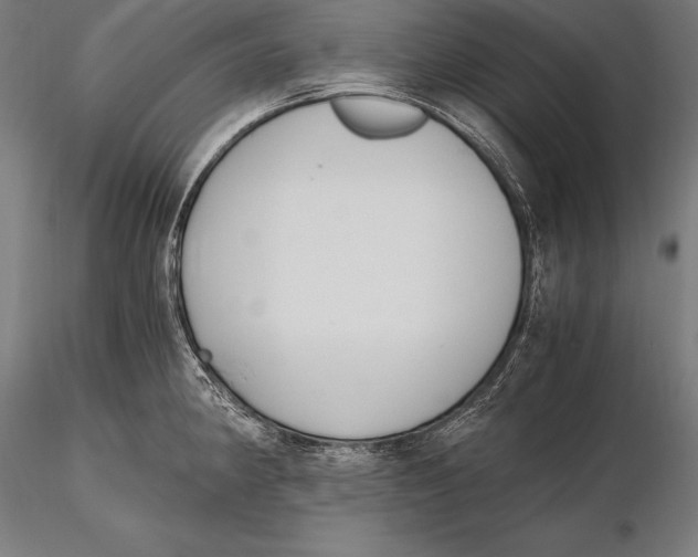 X0000115481190200912040945