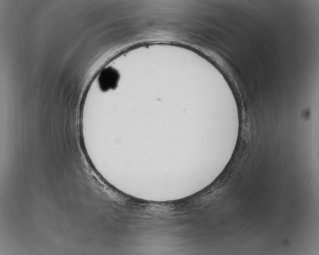 X0000115481191200912040945