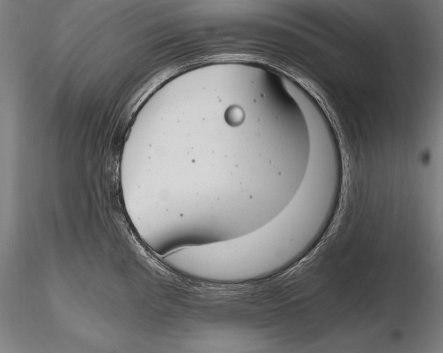 X0000115481193200912040945