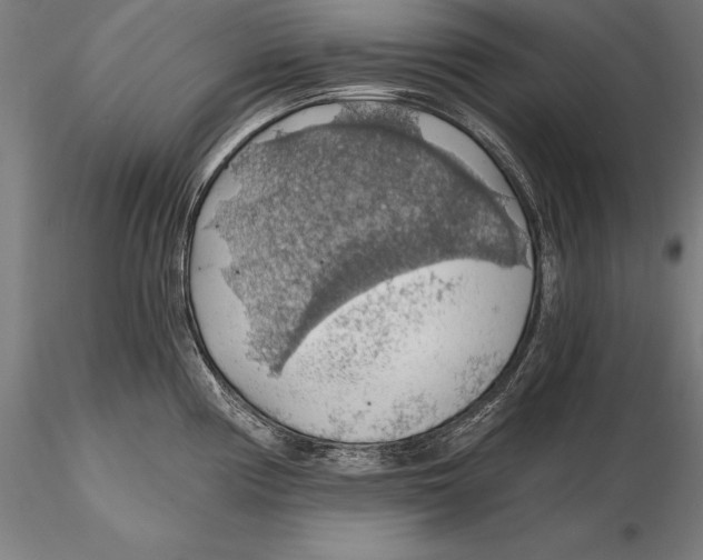 X0000115481194200912040945