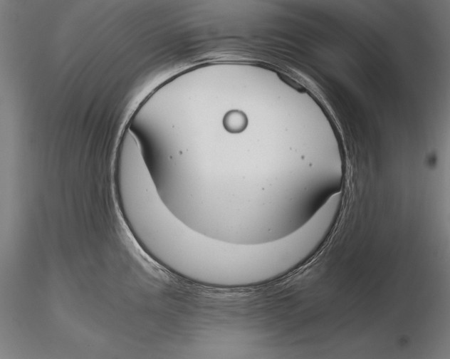 X0000115481195200912040945