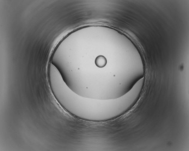 X0000115481196200912040945