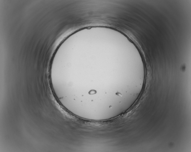 X0000115481197200912040945