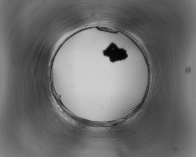 X0000115481200200912040945