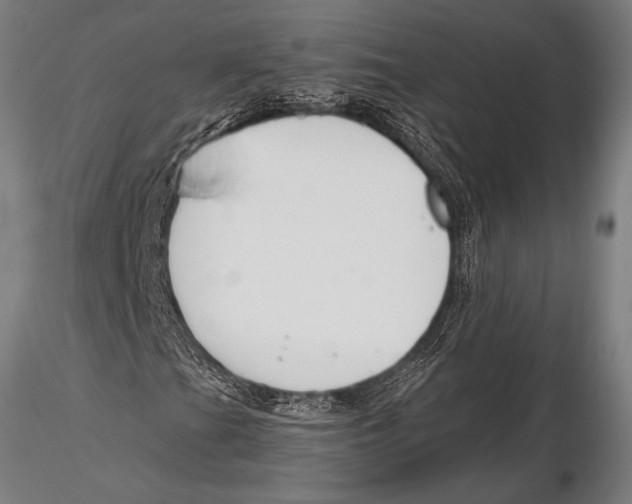 X0000115481201200912040944
