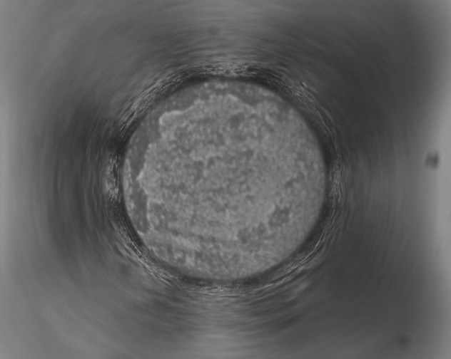 X0000115481202200912040944