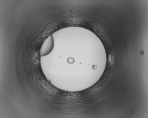 X0000115481203200912040944