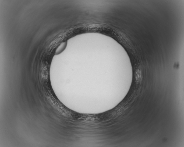 X0000115481204200912040944