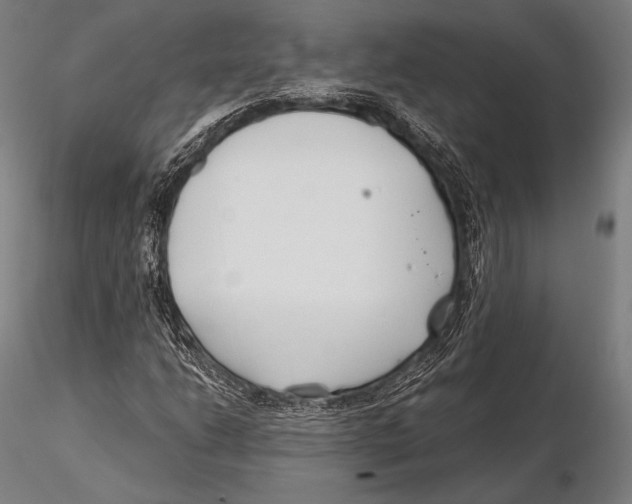 X0000115481206200912040944