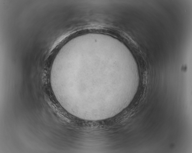 X0000115481208200912040944