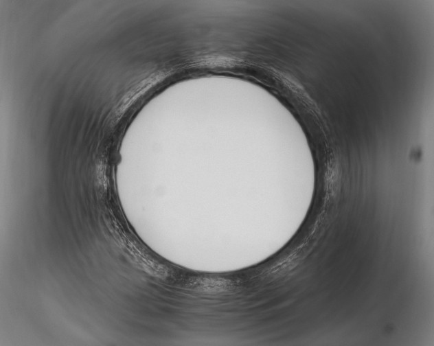 X0000115481209200912040944