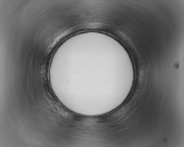 X0000115481210200912040944
