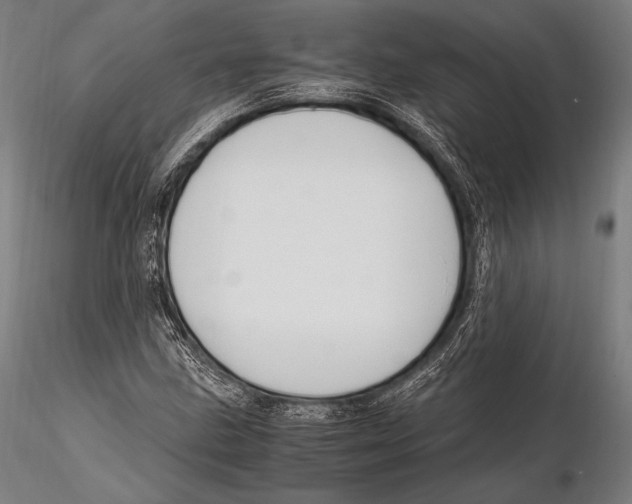 X0000115481211200912040944