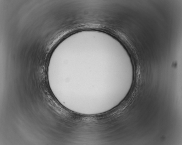 X0000115481212200912040944