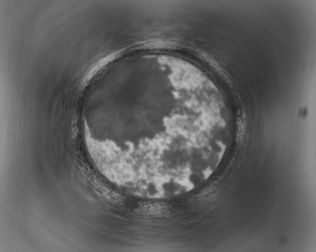 X0000115481213200912040944