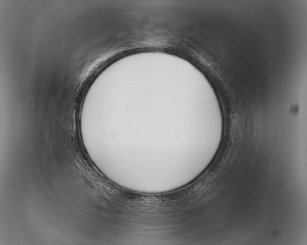 X0000115481214200912040944