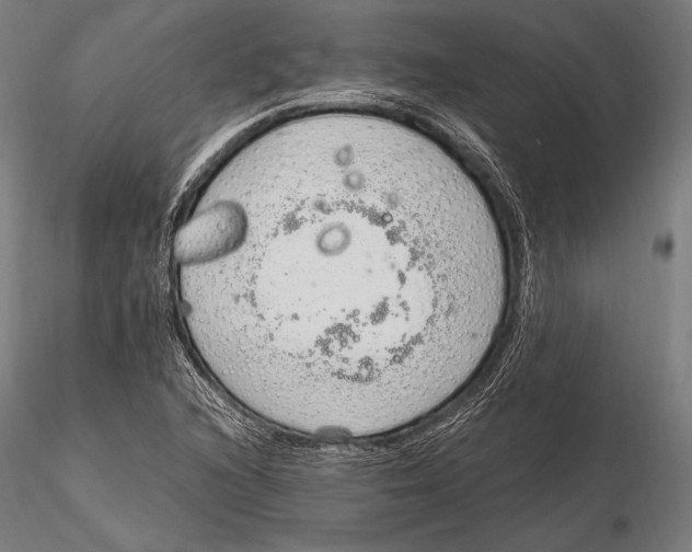 X0000115481216200912040944