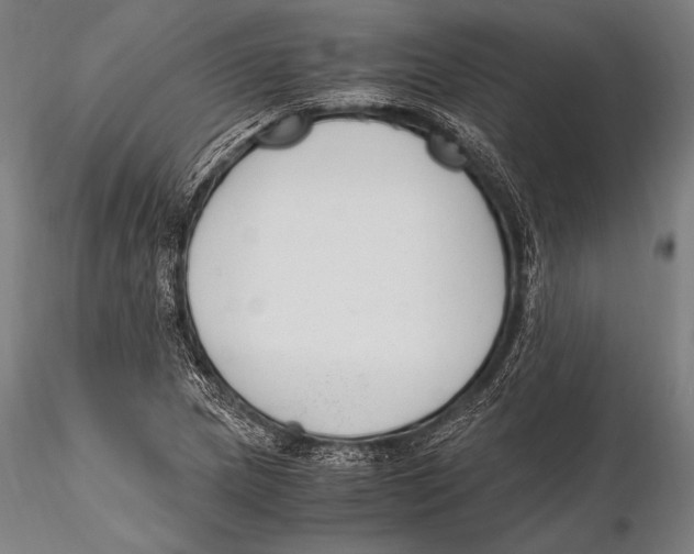 X0000115481217200912040944