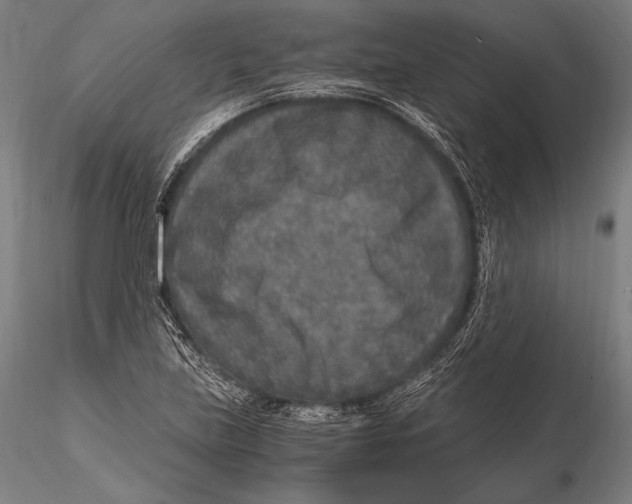 X0000115481219200912040945