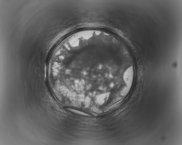 X0000115481221200912040945