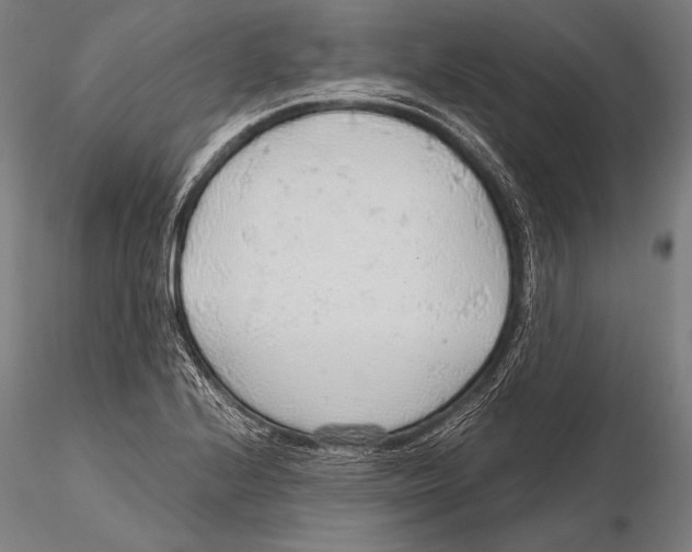 X0000115481224200912040945