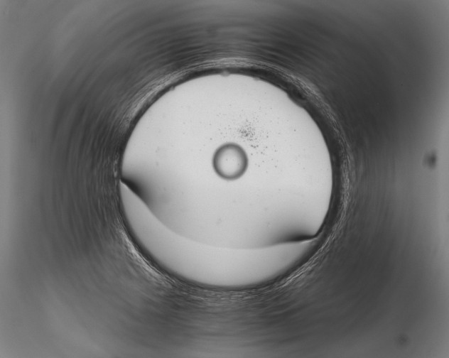 X0000115481225200912040945