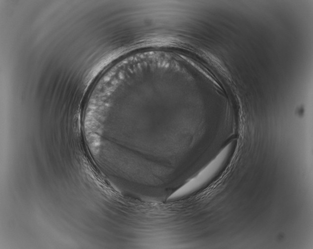 X0000115481226200912040945