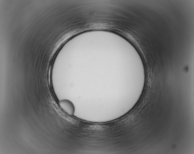 X0000115481227200912040945