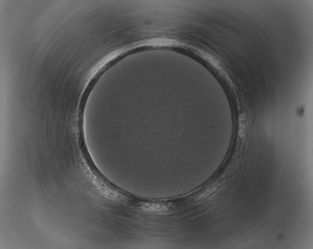 X0000115481229200912040945