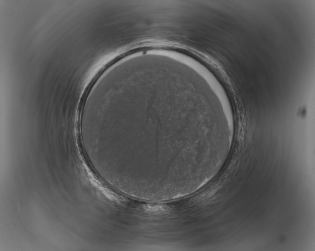 X0000115481231200912040945