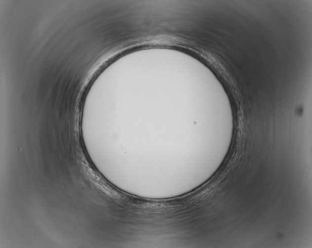 X0000115481232200912040945