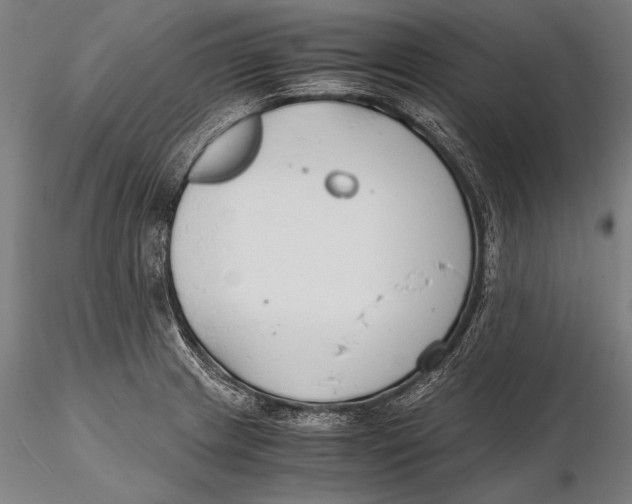 X0000115481233200912040945