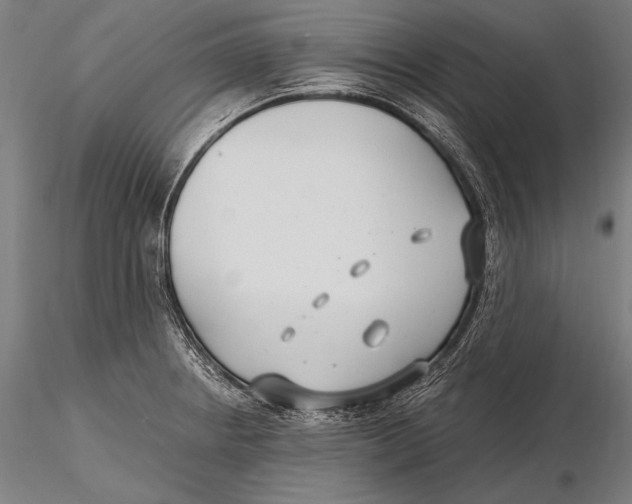 X0000115481234200912040945