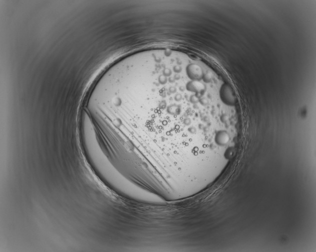 X0000115481235200912040945