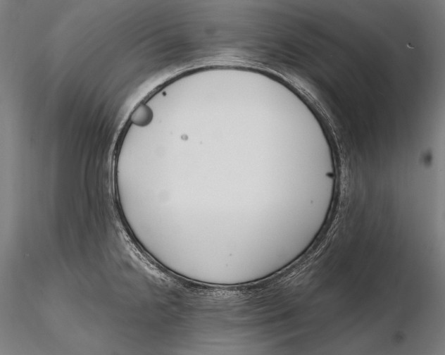 X0000115481238200912040945