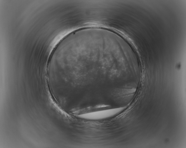 X0000115481239200912040945