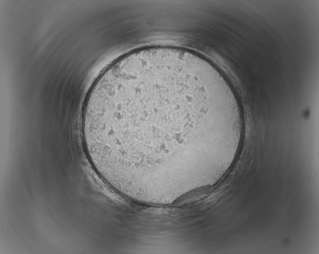 X0000115481240200912040945