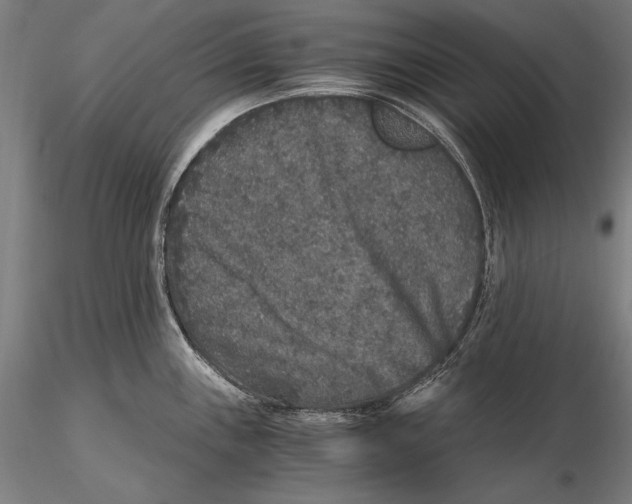 X0000115481243200912040945
