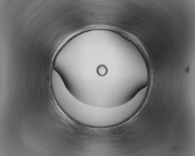 X0000115481244200912040945