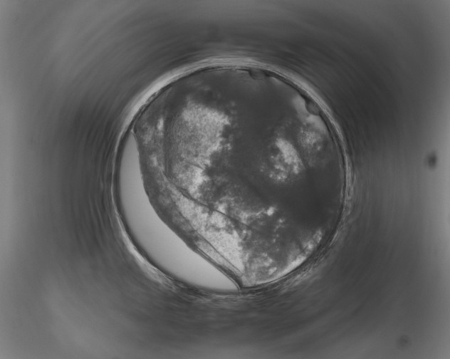 X0000115481245200912040945