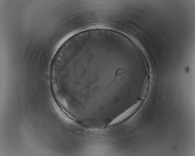 X0000115481246200912040945