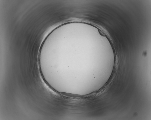 X0000115481247200912040945