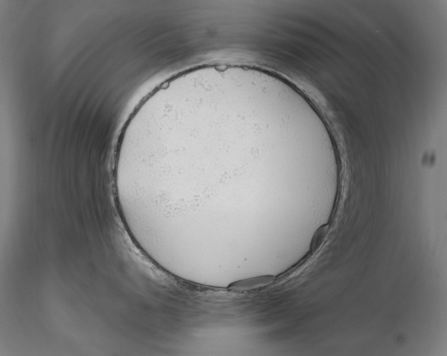 X0000115481248200912040945