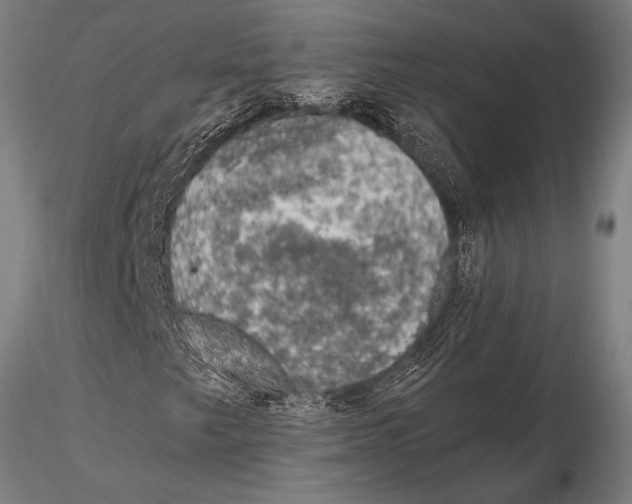 X0000115481249200912040944