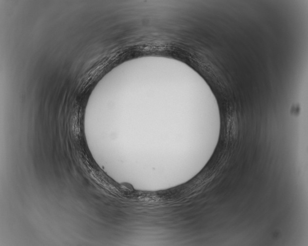 X0000115481250200912040944