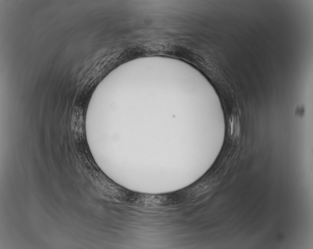 X0000115481251200912040944