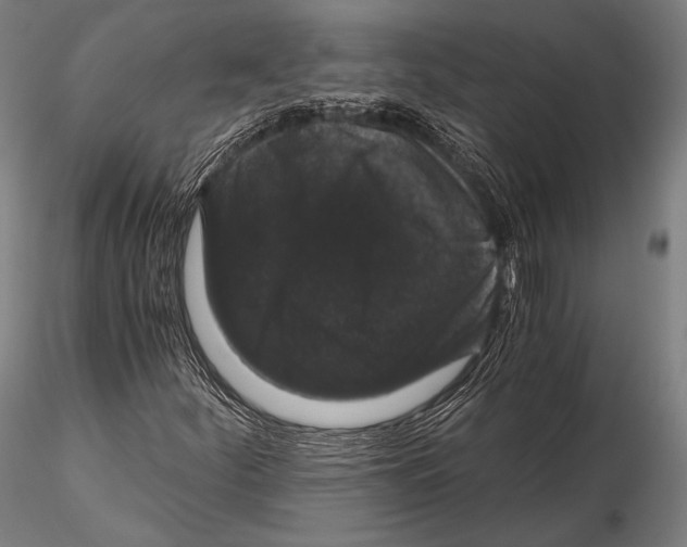 X0000115481252200912040944
