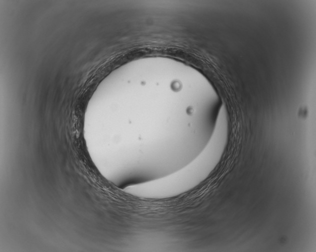 X0000115481253200912040944