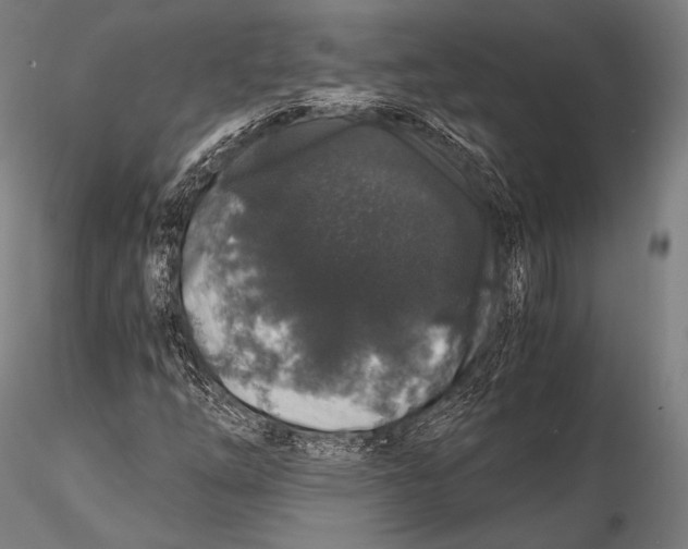 X0000115481254200912040944