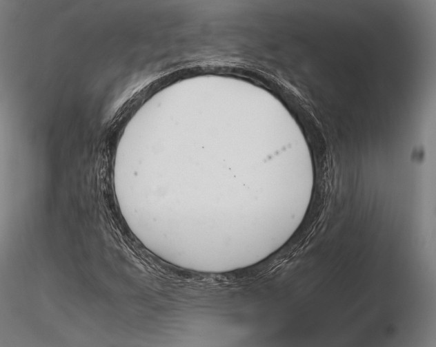 X0000115481255200912040944
